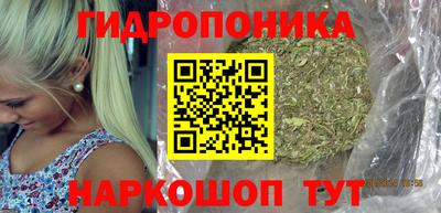 индика Славгород